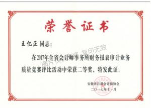 2017年度財(cái)務(wù)報(bào)表審計(jì)業(yè)務(wù)質(zhì)量競賽評(píng)比活動(dòng)個(gè)人二等獎(jiǎng)-王億正