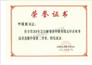 2018年度財(cái)務(wù)報(bào)表審計(jì)業(yè)務(wù)質(zhì)量競賽評(píng)比活動(dòng)個(gè)人二等獎(jiǎng)-何繼勝