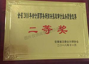 財(cái)務(wù)報(bào)表審計(jì)業(yè)務(wù)質(zhì)量競賽評(píng)比活動(dòng)二等