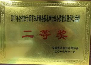 財(cái)務(wù)報(bào)表審計(jì)業(yè)務(wù)質(zhì)量競賽評(píng)比活動(dòng)二等獎(jiǎng)