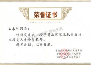 蜀山區(qū)人才拔尖（王永剛）