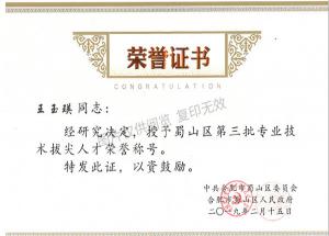 蜀山區(qū)人才拔尖（王玉瑛）