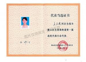 蜀山區(qū)無倫敦街道第一屆選民大會(huì)代表